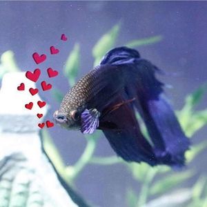 Meet your Posher, Cathleen